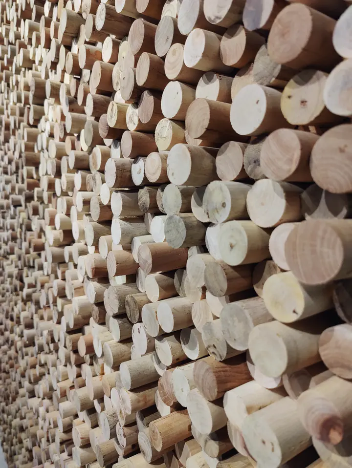 Hundreds of cut timber rounds set into a richly textured feature wall